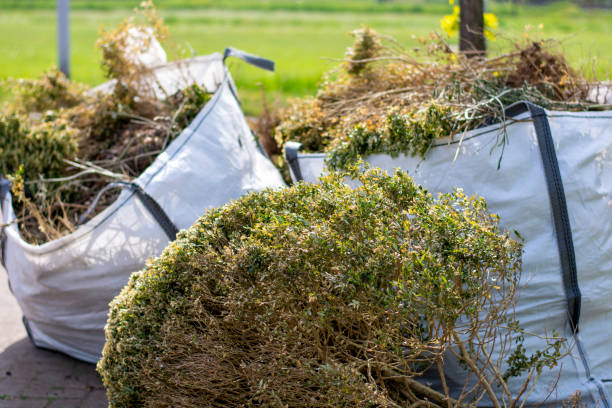 Best Shed Removal  in Millville, DE